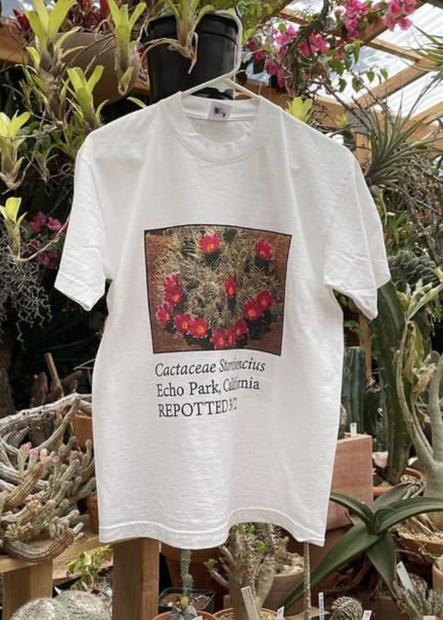 Cactus Store Tシャツ(XL) 鶴仙園 spicy gem サボテン John Mayer カクタス BOTANIZE