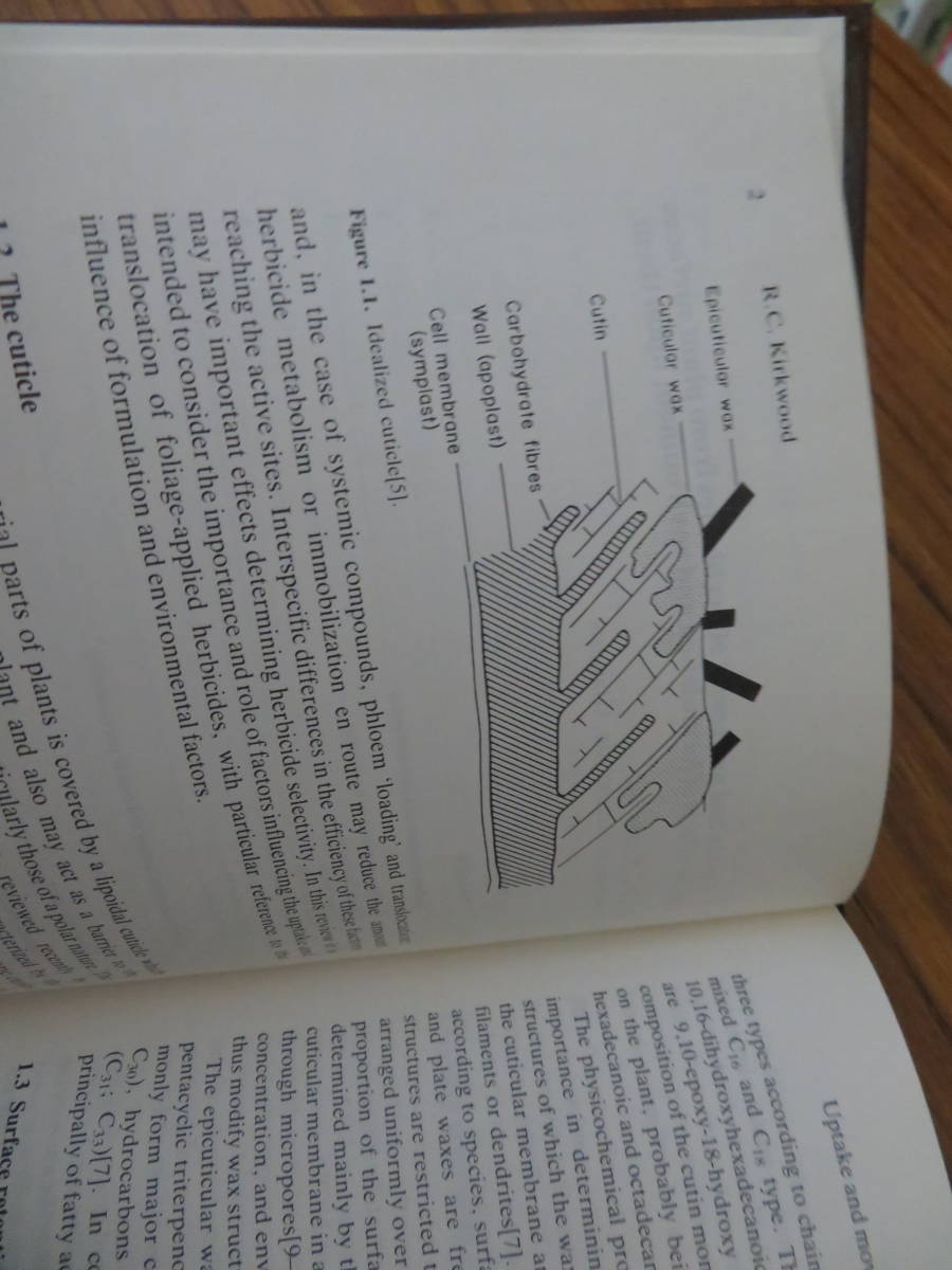 Pesticides on Plant Surfaces (Critical Reports on Applied Chemistry)