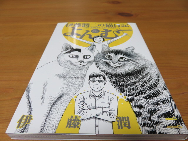 伊藤潤二の猫日記 よん むー 伊藤潤二 講談社 本 青年 売買されたオークション情報 Yahooの商品情報をアーカイブ公開 オークファン Aucfan Com 伊藤潤二の猫日記 よん むー 伊藤潤二 講談社 本 青年 売買されたオークション情報 Yahooの商品情報をアーカイブ公開 オークファン Aucfan Com