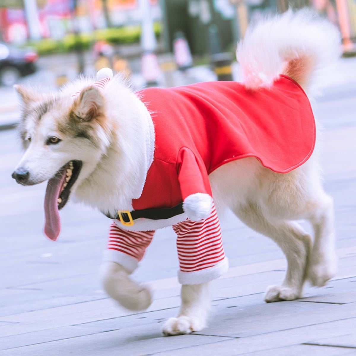 ペット 犬 猫 サンタクロース コスプレ 帽子付き クリスマス 可愛い 服 サンタコスプレ