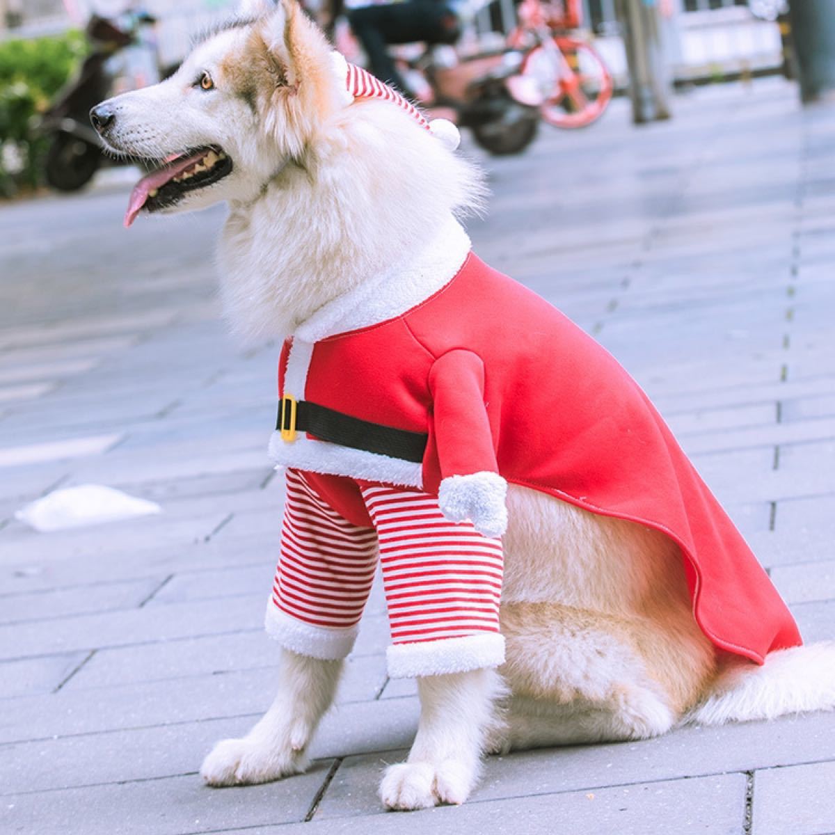 ペット 犬 猫 サンタクロース コスプレ 帽子付き クリスマス 可愛い 服 サンタコスプレ