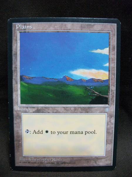 MTG Plains 英語版._画像1