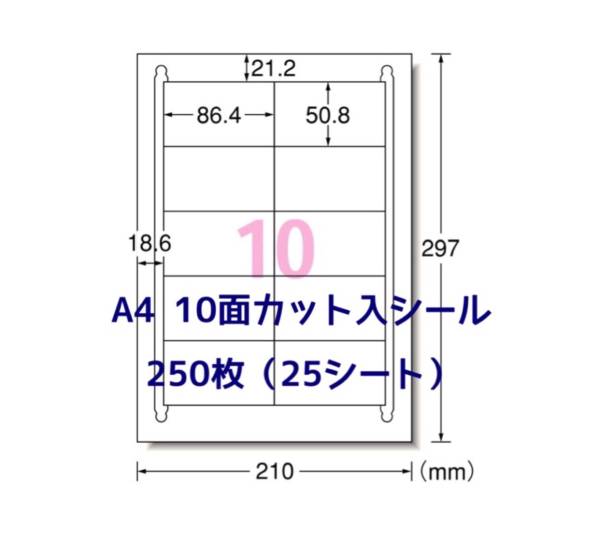 マルチプリンタ対応◇250枚A4サイズ10面カット入◇ラベルシール◇宛名シールにも最適_画像1