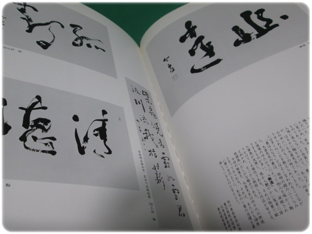 状態良/山田太虚個展作品集 書究文化書芸院/aa9297_画像3