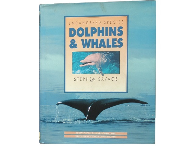 洋書◆イルカとクジラの写真集 本 鯨_画像1
