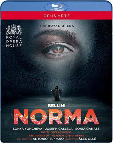 ベッリーニ:歌劇《ノルマ》[Blu-ray](中古品) その他