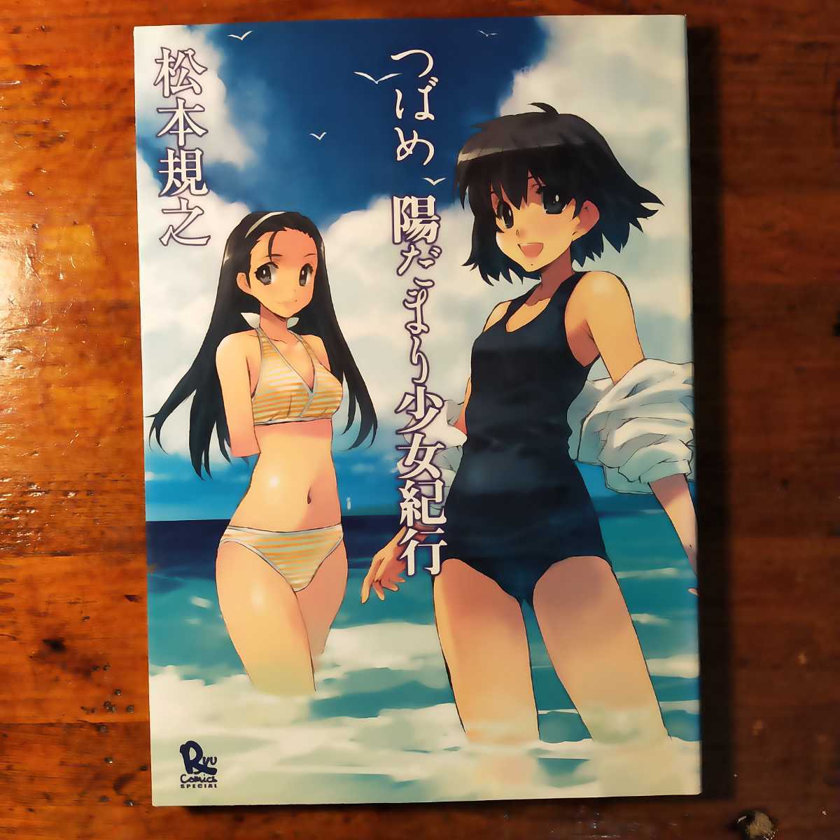 【送料無料】つばめ陽だまり少女紀行 ～松本規之 (2007年 リュウコミックス　オールカラー　国内旅行　美少女　イラスト集)_画像1