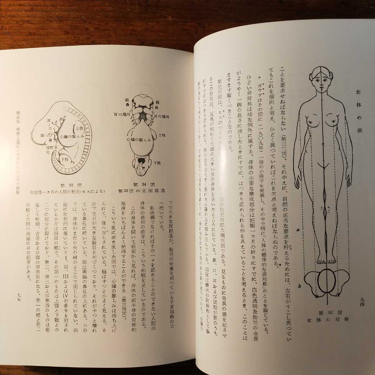 続日本の絵巻 第13巻〜第27巻 中央公論社-