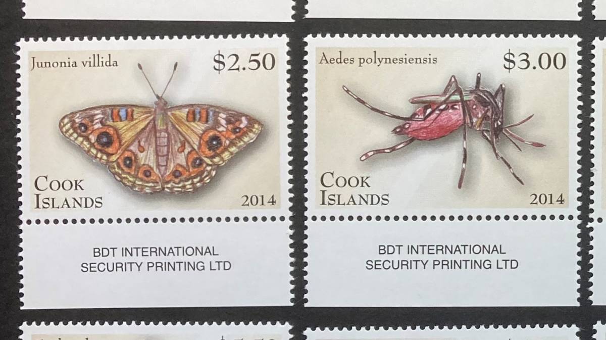クック諸島 2014年発行 蝶 昆虫 切手 未使用 NH_画像4