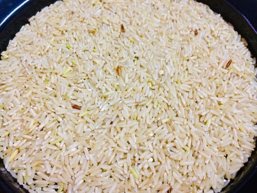 令和3年産【丹波産】インディカ 玄米 -特別栽培米- “星かぐわ” 450g_画像4