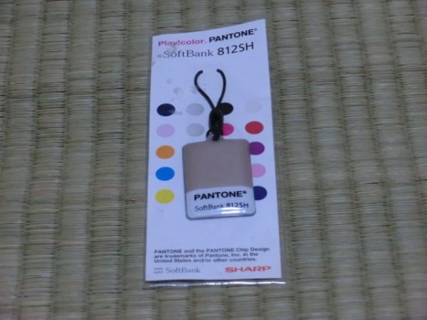 未開封品　SoftBank　812SH　Play!color.PANTONE　携帯クリーナーストラップ_画像1