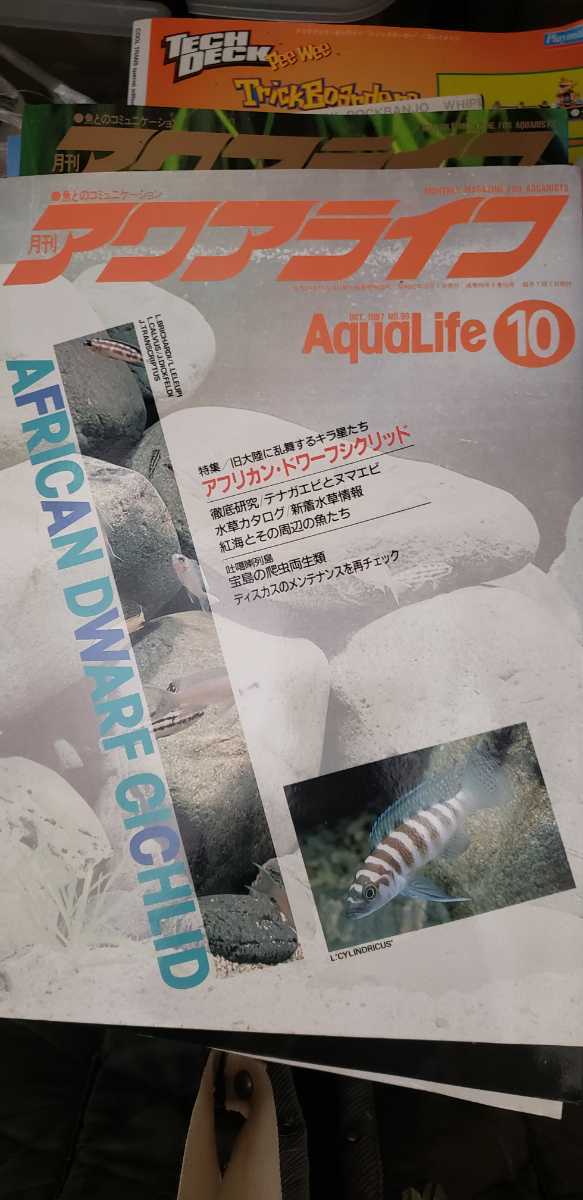 素敵でユニークな アクアライフ 1987年10月鑑賞魚本