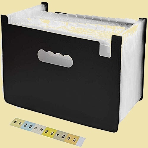 在庫残りあと僅か ファイルボックス ドキュメントスタンドA4 2-GS 整理 自立型… 25ポケット 書類ケ-ス 収納ボックス_画像1