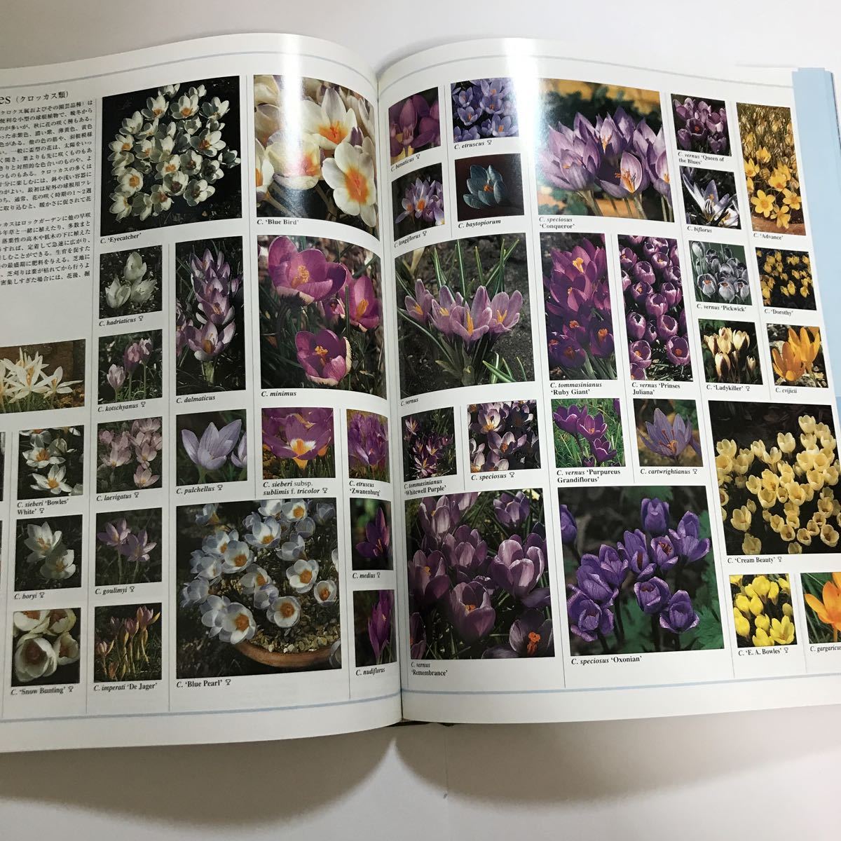 新・花と植物百科