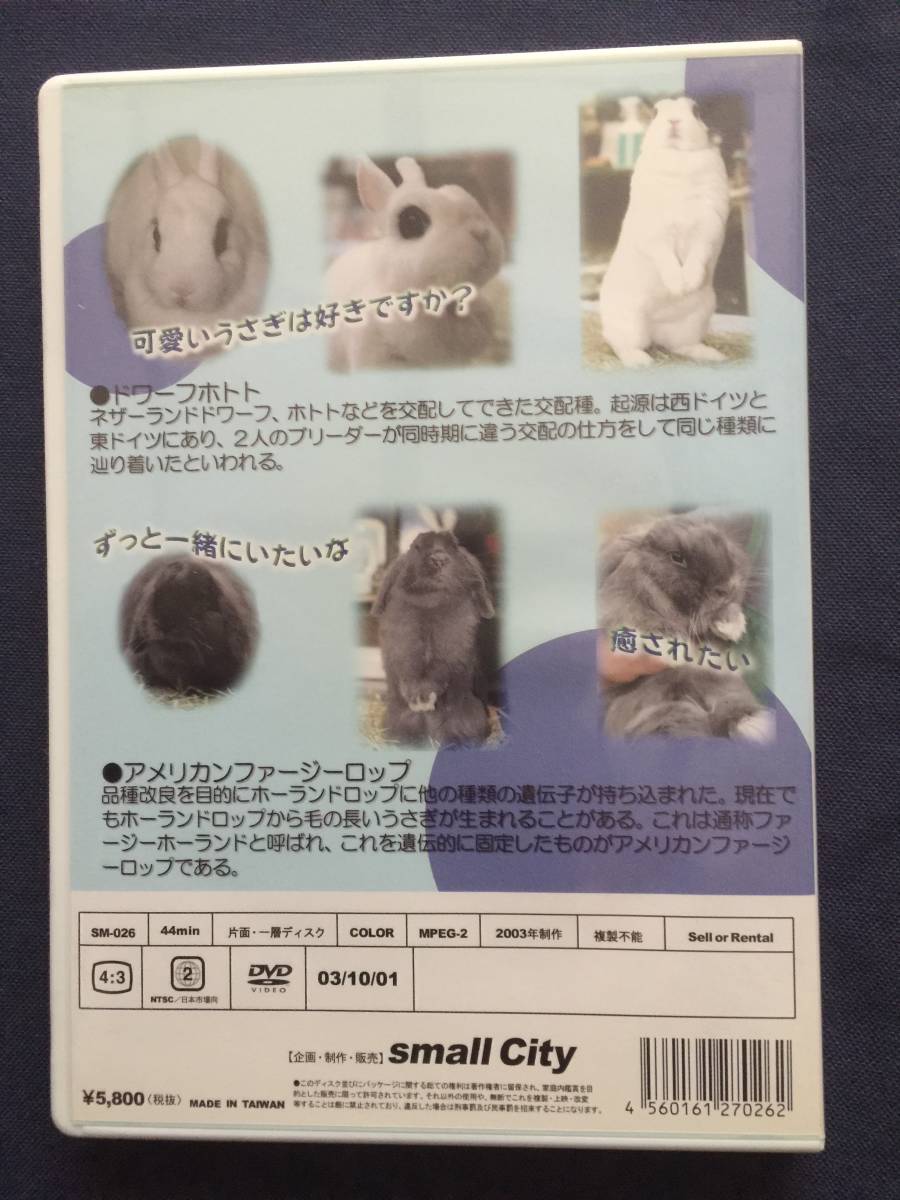 【セル】DVD『うさぎと遊ぼう　らびっとわあるどvol.Ⅲ』アメリカンファージーロップ_画像2