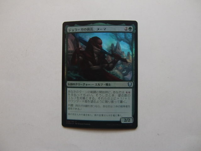 バイン　MTG ジョラーガの酋長、ヌーマ/Numa, Joraga Chieftain foil 日本語1枚_画像1