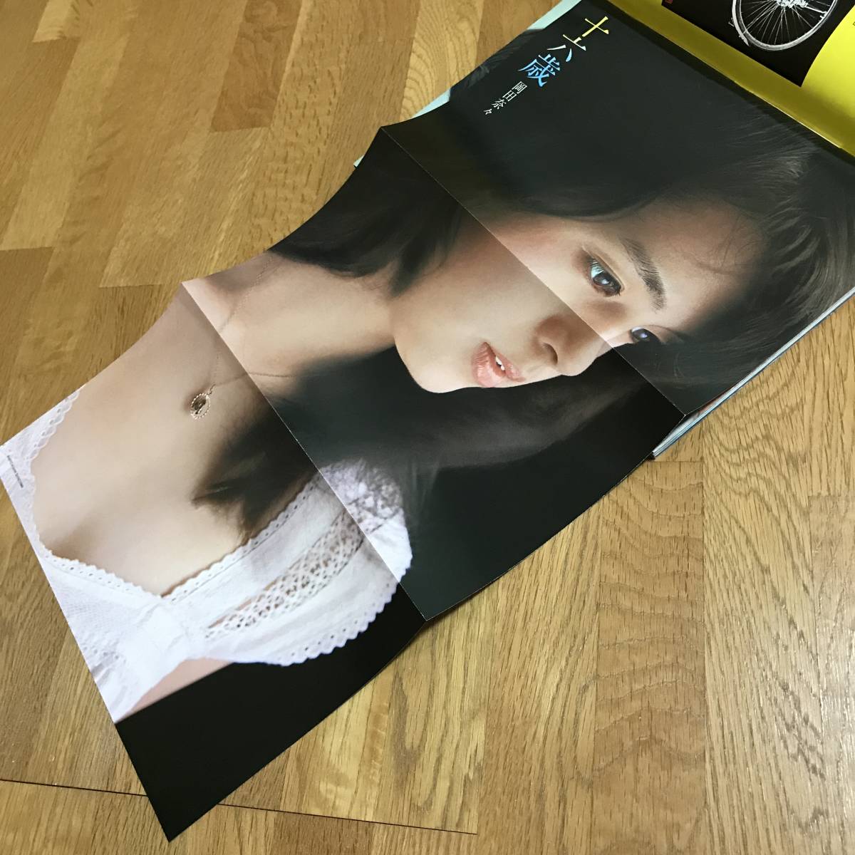 ☆お値引き可能です☆ GORO ゴロー 岡田奈々ジャンボポスター ☆お値引き可能です☆ GORO ゴロー 岡田奈々ジャンボポスター