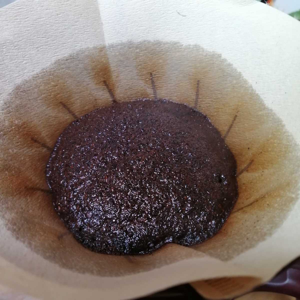 自家焙煎屋　コーヒー豆　エチオピア　シャキッソG1 有機栽培　300g_画像2
