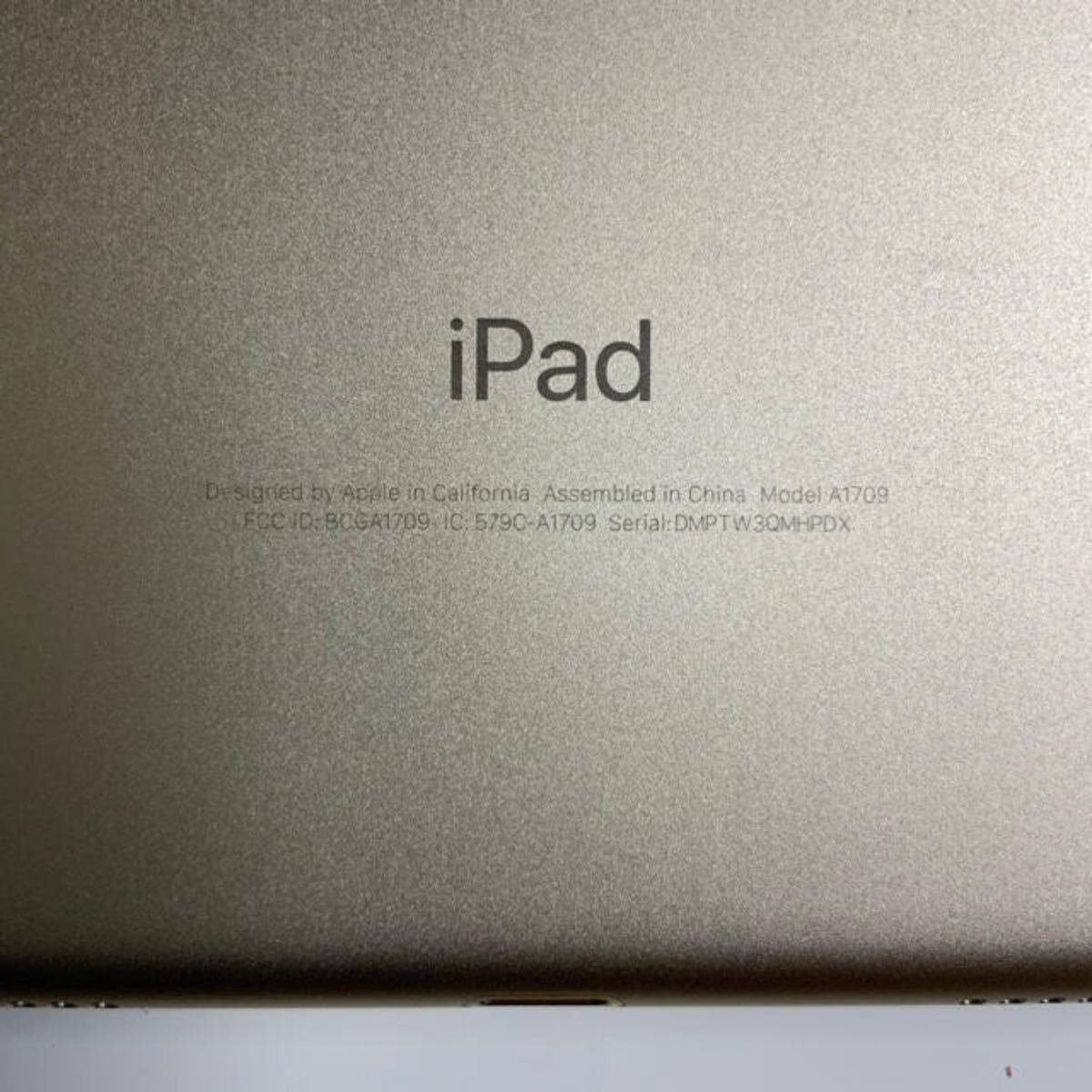 iPad Pro 10.5 セルラーモデル 256GB  ケース　セット