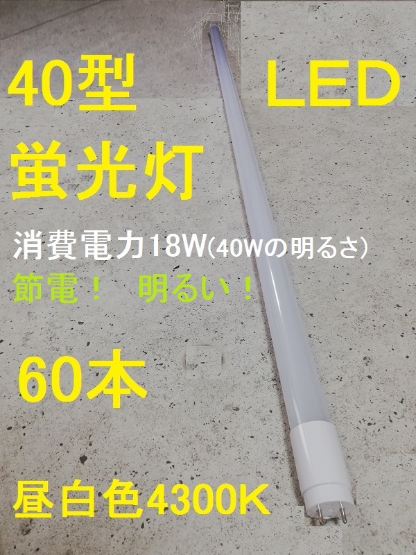 新作入荷!!】 40W形 直管 60本セット LED蛍光灯 長持ち ○激安 120cm G13-120-4K ともしび 照明 昼白色 1年保証 グロー式工事不要 高輝度SMD - LED電球 - hlt.no 新作入荷!!】 40W形 直管 60本セット LED蛍光灯 長持ち ○激安 120cm G13-120-4K ともしび 照明 昼白色 1年保証 グロー式工事不要 高輝度SMD - LED電球 - hlt.no