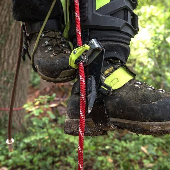 Edelrid TALON 右用スパーアッセンダー ツリークライミング Edelrid TALON 右用スパーアッセンダー ツリークライミング