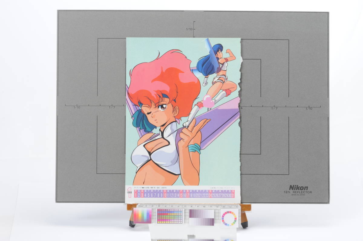 [Delivery Free]1980s Dirty Pair Animedia Pin-Up ダーティペア/妖刀伝 ピンナップ[tag8801]