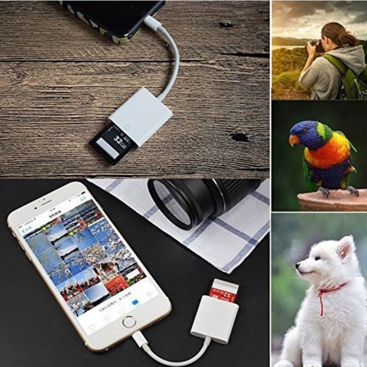 iPhone カードリーダー SD マイクロSD 両対応　Lightning 高速 最新　iOS15対応