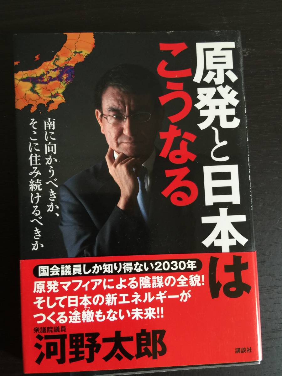 本　帯付　原発と日本はこうなる　河野太郎　講談社_画像1