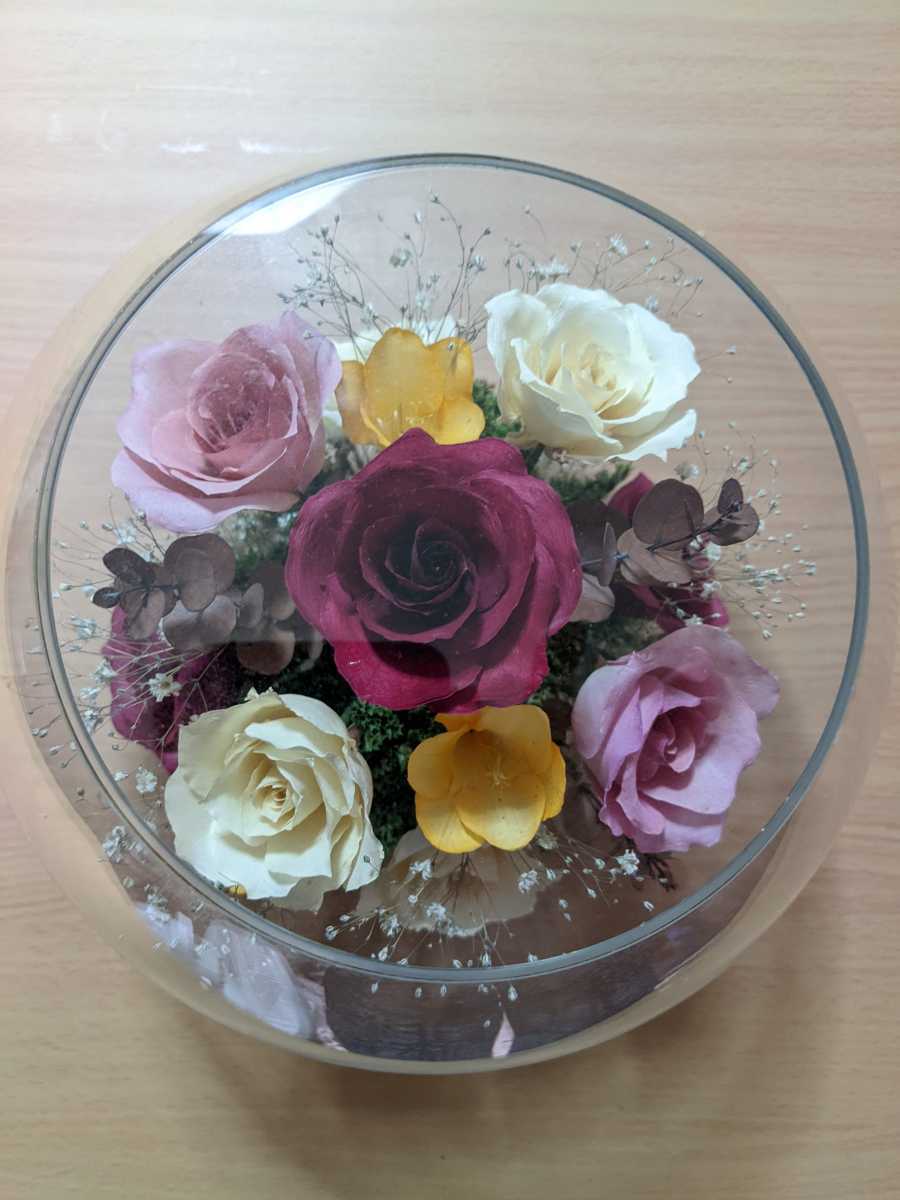  beautiful goods preserved flower glass dome flower areji men to stylish 