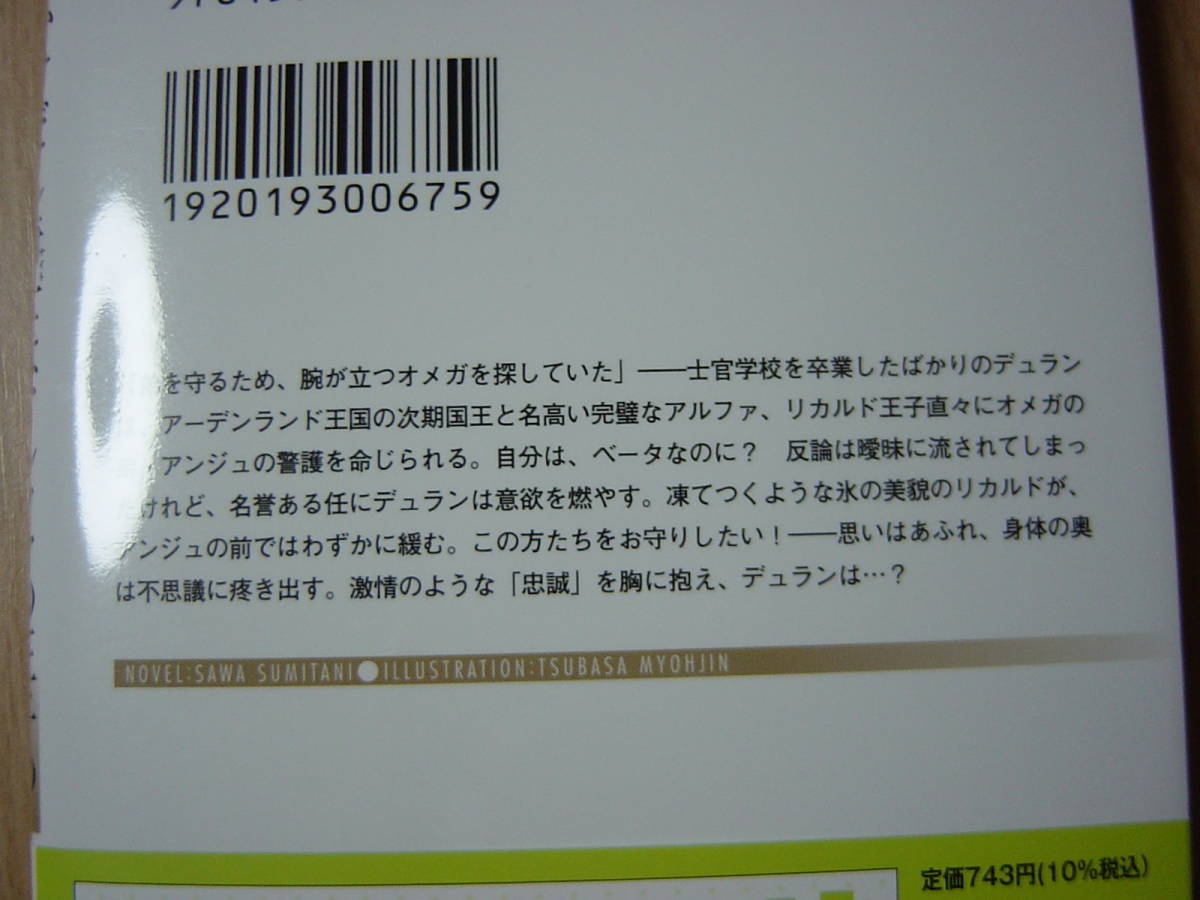 ☆2021.11　かけだし騎士はアルファの王子の愛を知りました　墨谷佐和　ＳＳペーパー　Ⅱ_画像3