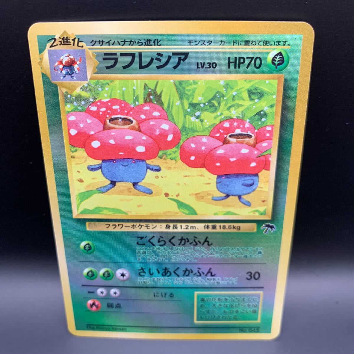 ラフレシア 希少 キラ ポケモンカード旧裏 旧裏面 極美品 ラフレシア 希少 キラ ポケモンカード旧裏 旧裏面 極美品