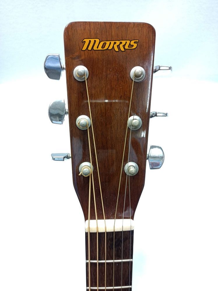 Morris md-201n アコースティックギター - 通販 - hanackenovinky.cz