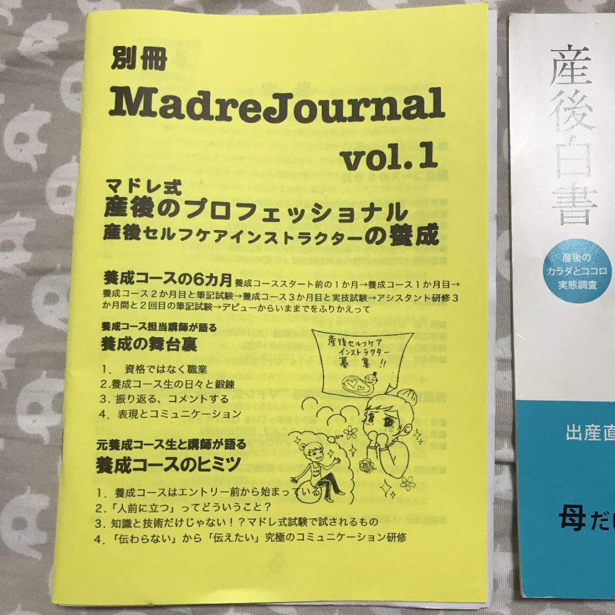 3冊セット マドレボニータ 別冊マドレジャーナルvol.1 産後白書 産褥記