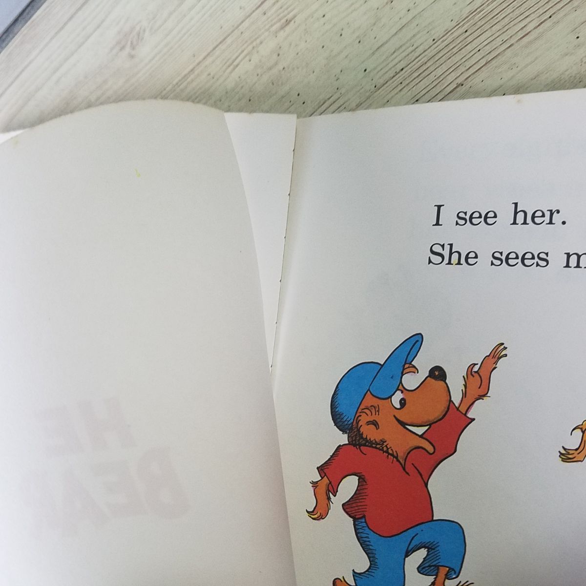 外国語絵本[バーンスタインベアーズ The Berenstain Bears　4冊セット] 洋書 英語絵本 年代モノ_画像9