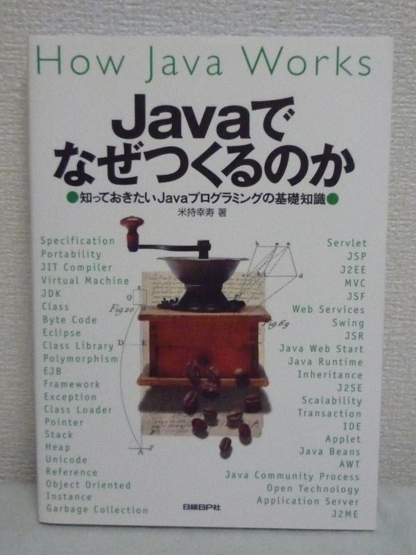 Java. почему .... ...... хочет Java программирование. основа знания * рис ...* программное обеспечение окружающая среда . объединение . разработка работа. бесполезность . нет .*