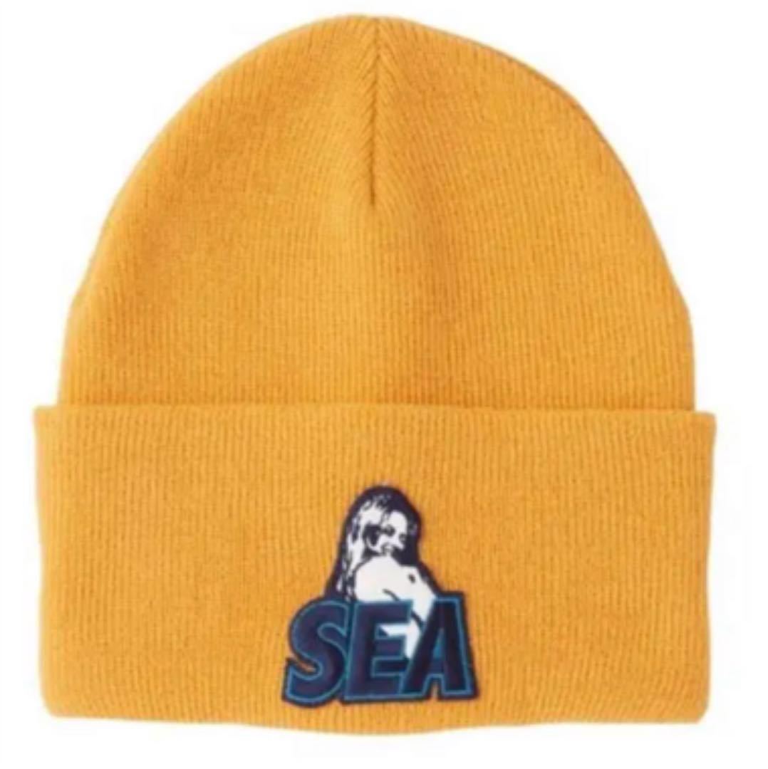 【新品タグ付き】20AW 21 新品 WIND AND SEA ウィンダンシー ヒステリックグラマー HYSTERIC GLAMOUR × WDS BEANIE ビーニー ニット帽_画像1