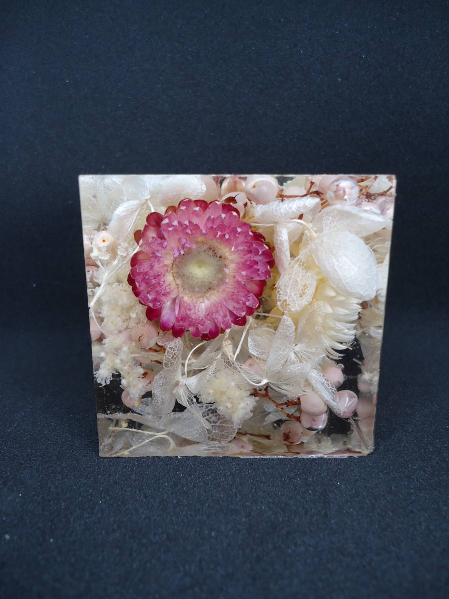 ! work adjustment! preserved flower! crystal art lium! herbarium! rose!..! rose! Mix! ornament! sombreness series!