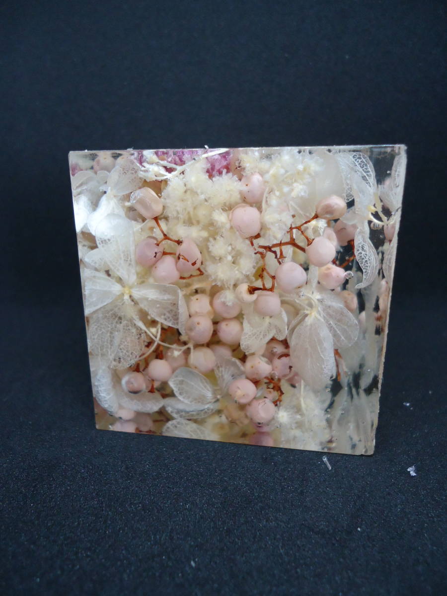 ! work adjustment! preserved flower! crystal art lium! herbarium! rose!..! rose! Mix! ornament! sombreness series!