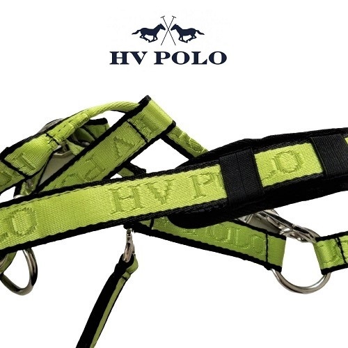 HV POLO　キャンディーイエロー　 ホルター　無口　ポニーサイズ　乗馬　馬術