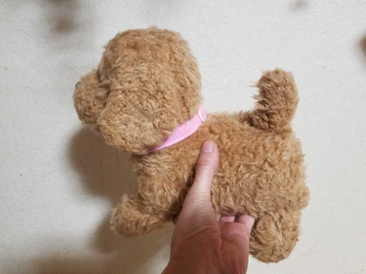 ホットセール イワヤ あかちゃんプードル 玩具 ぬいぐるみ 犬 Lacistitis Es ホットセール イワヤ あかちゃんプードル 玩具 ぬいぐるみ 犬 Lacistitis Es