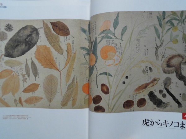item_image_5
