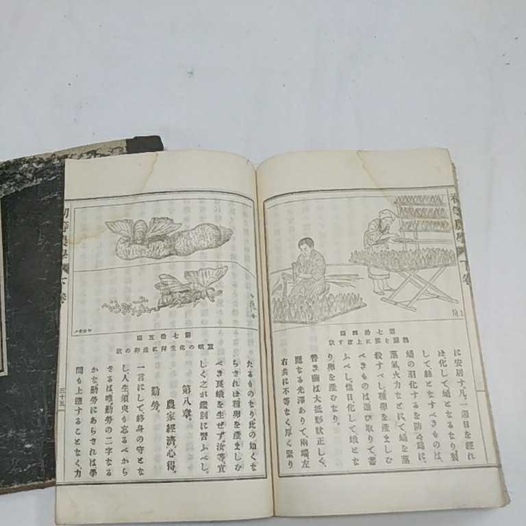 古書 明治時代 明治26年 明治廿六年 初等農学 上巻 下巻 2冊セット 長期保管品 和本 ジャンク_画像10