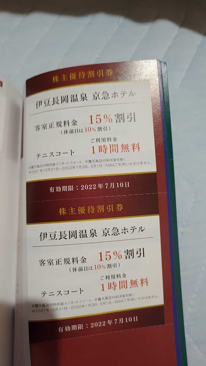 送料無料　京急　株主優待割引券　2022年7月10日まで　京浜急行電鉄株式会社　100株　2021年11月発行_画像7