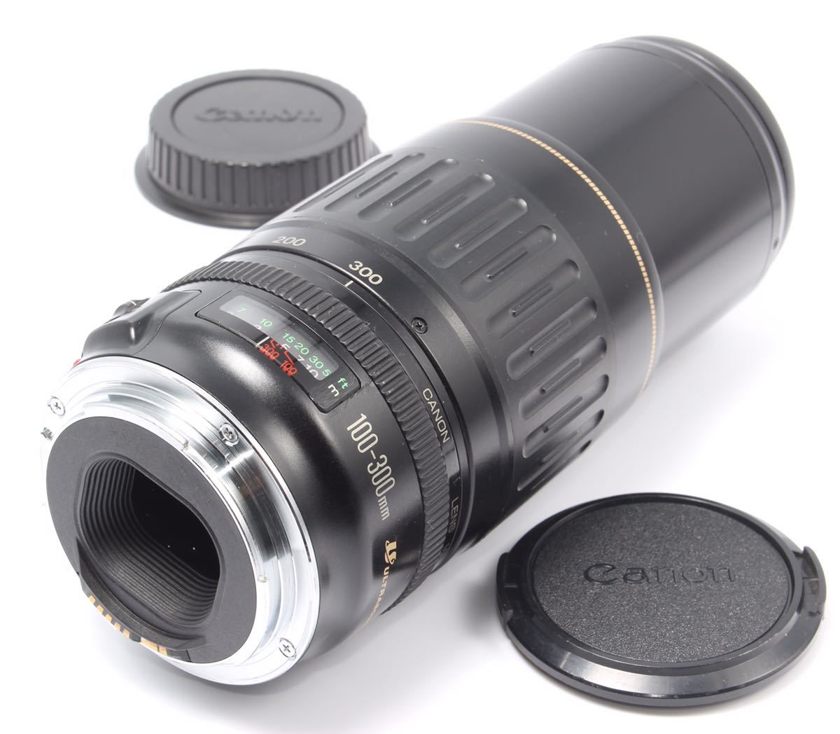 迫力の300㎜ Canon キヤノン 望遠レンズ EF100-300mm - レンズ(ズーム)