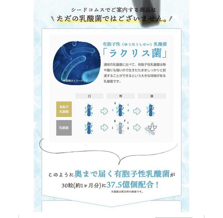 メーカー - 新品 届く!有胞子性 乳酸菌 3ヶ月分 乳酸菌サプリ 腸活