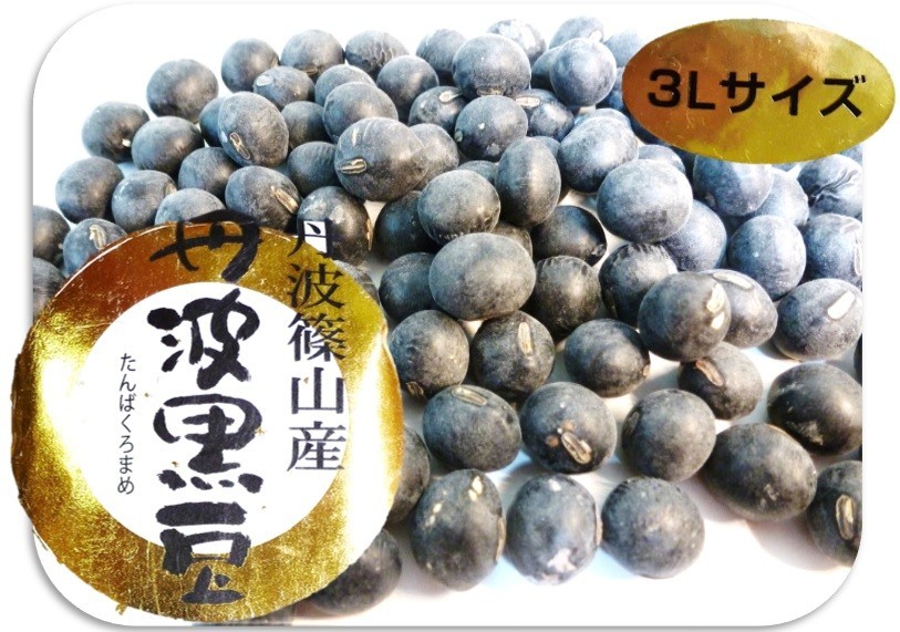 [ mail service free shipping ] legume power Hyogo prefecture . mountain production Tanba black large legume ( extra-large bead 3L) 200g [ Tanba black soybean black soybean ]
