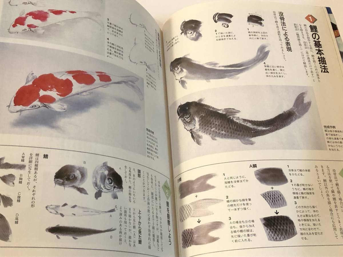趣味の水墨画　1996/5　鯉を描く/蕪村筆「新緑杜鵑図」大嶋月庵_画像5