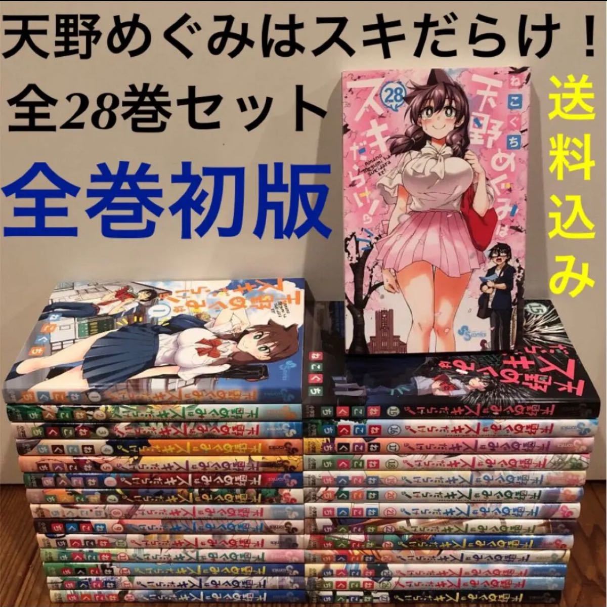 天野めぐみはスキだらけ!全巻初版 全28巻セット