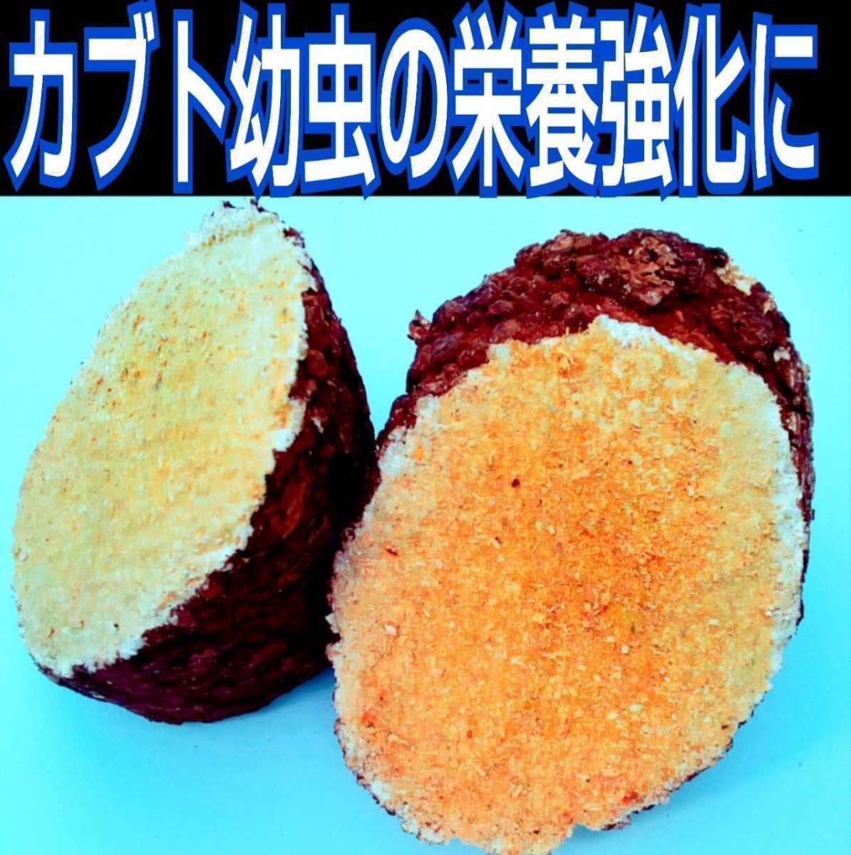 送料無料！訳あり特価！割れてる！椎茸廃菌床6ブロック分☆カブト幼虫の栄養強化に！発酵マットに埋め込むとよく食べる！クヌギ100％原料_画像6