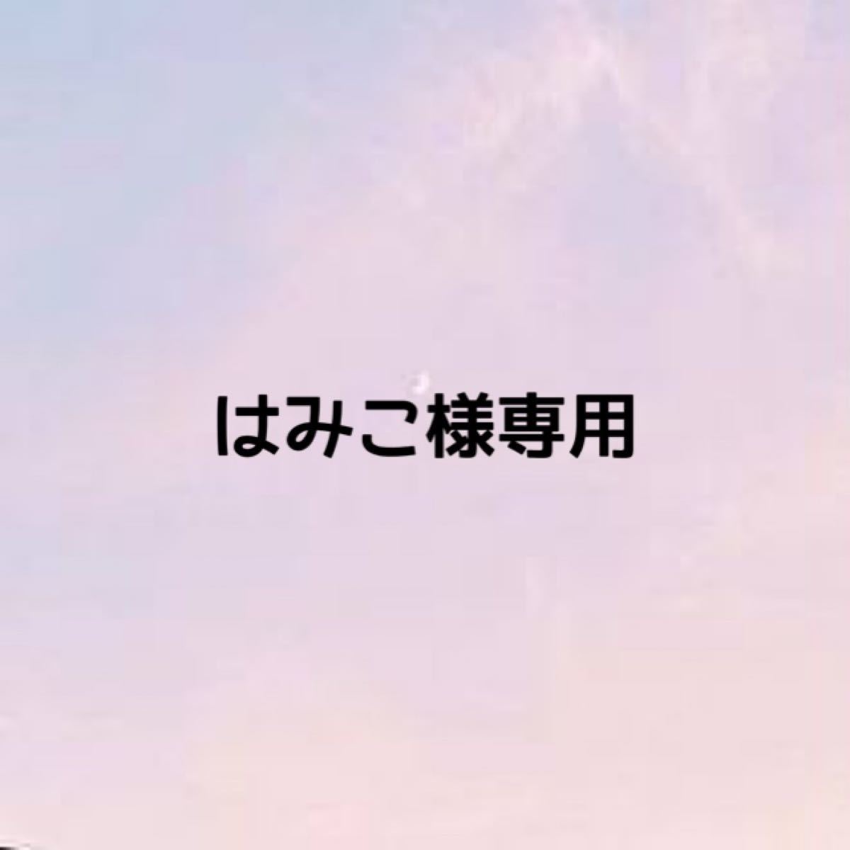 PayPayフリマ|はみこ様専用